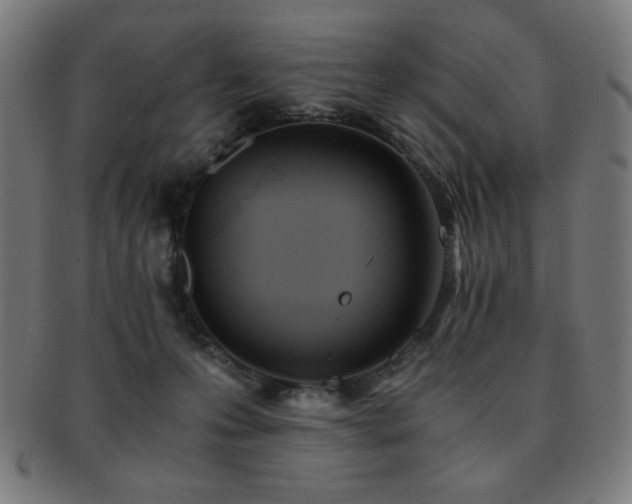 X0000091880223200709051330