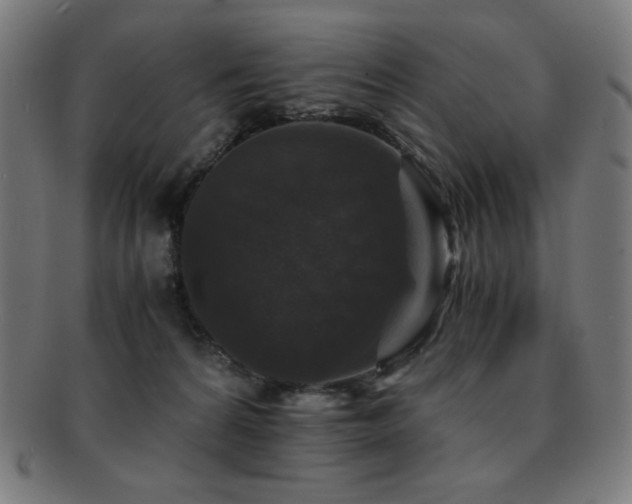 X0000091880224200709051330
