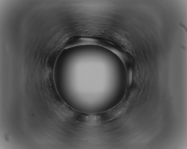 X0000091880225200709051330