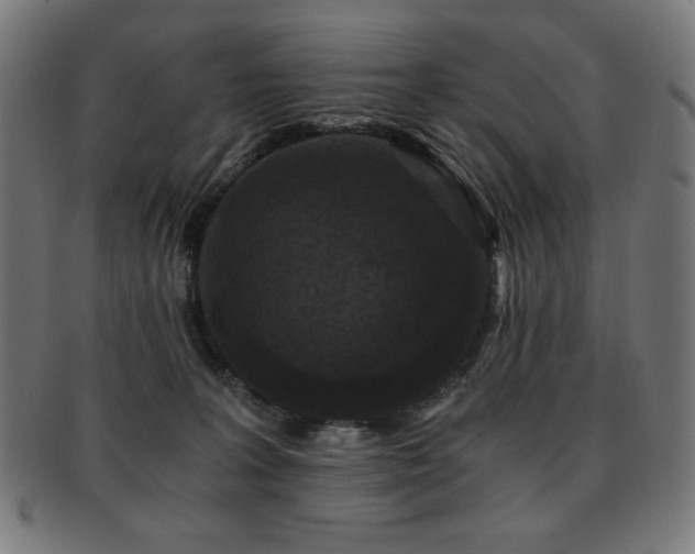 X0000091880227200709051330
