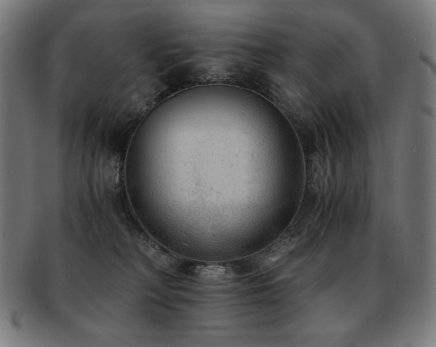 X0000091880230200709051330