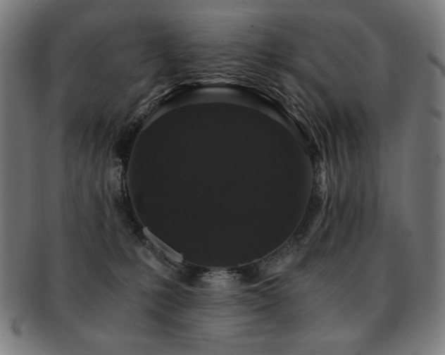 X0000091880231200709051330