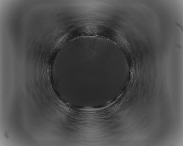 X0000091880233200709051330