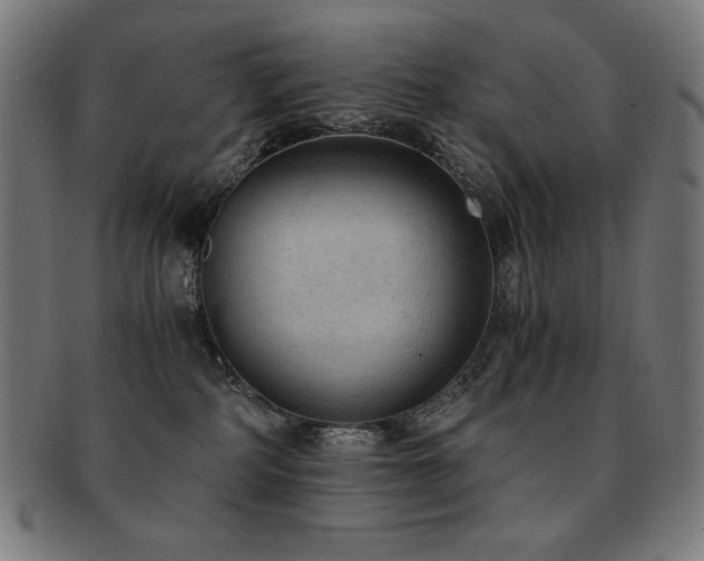 X0000091880234200709051330