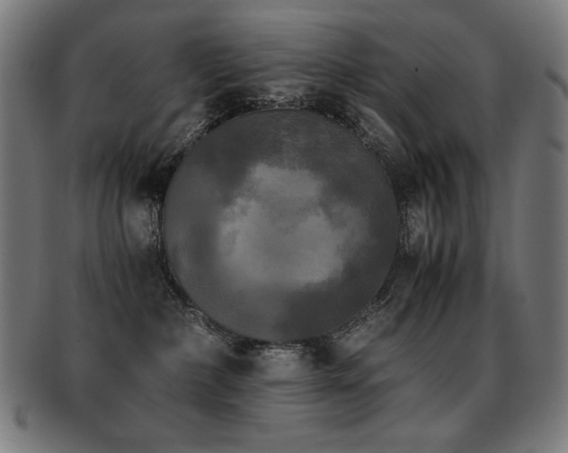 X0000091880236200709051330