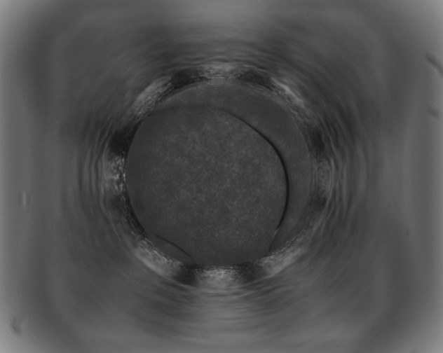 X0000091880237200709051330