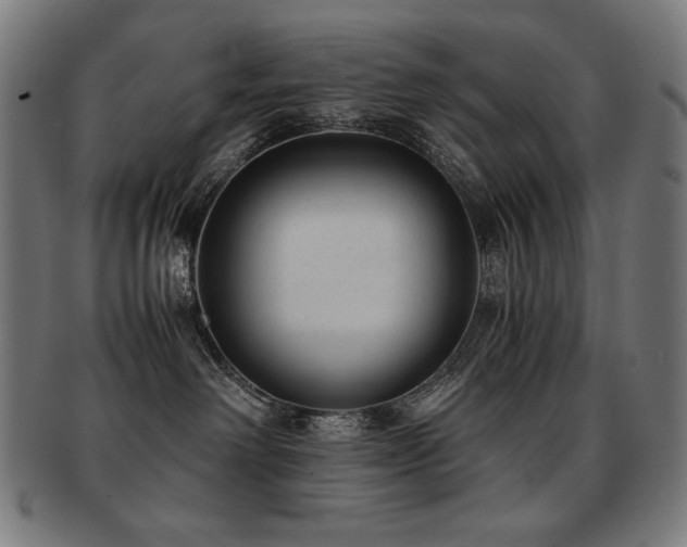 X0000091880238200709051330
