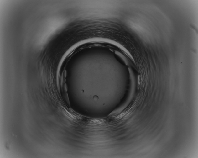 X0000091880239200709051330