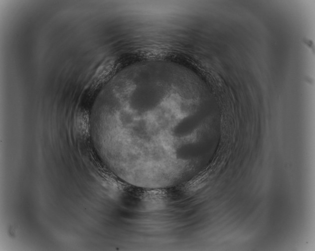 X0000091880240200709051330