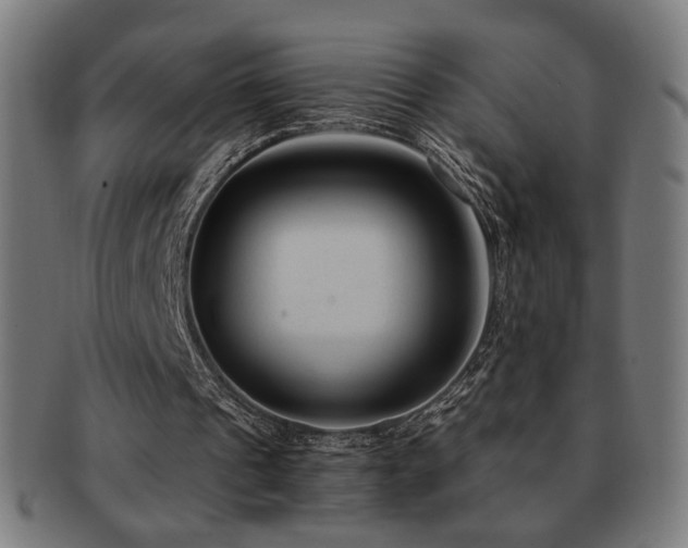 X0000091880241200709051329