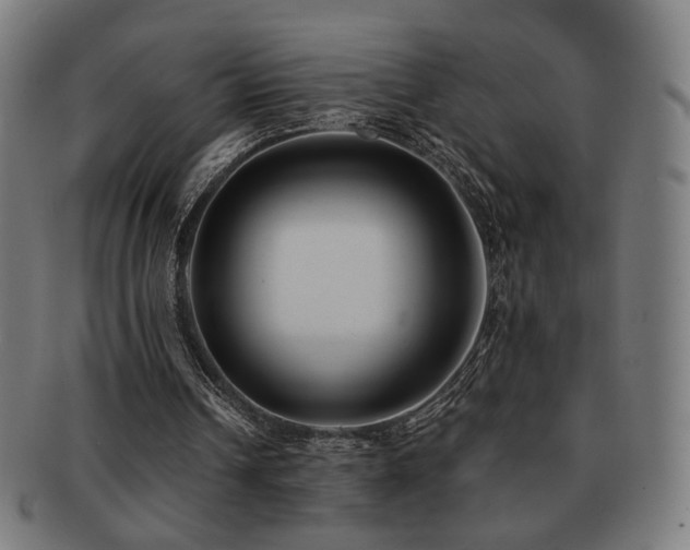 X0000091880242200709051329
