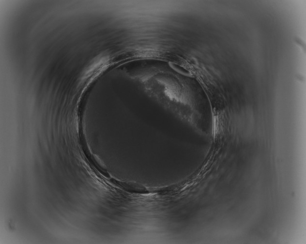 X0000091880243200709051329