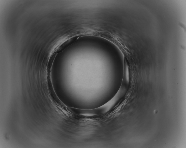 X0000091880244200709051329