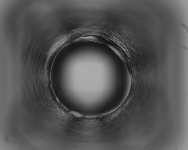 X0000091880245200709051329
