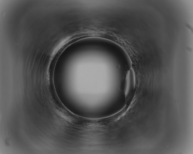X0000091880246200709051329