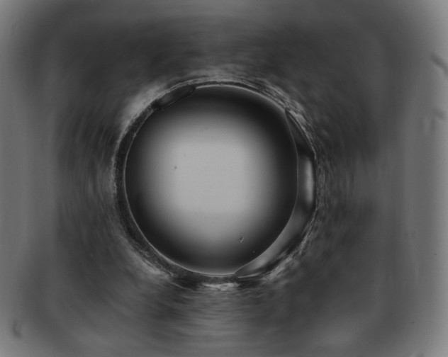 X0000091880248200709051329