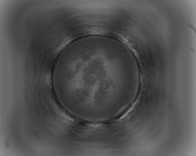 X0000091880249200709051329