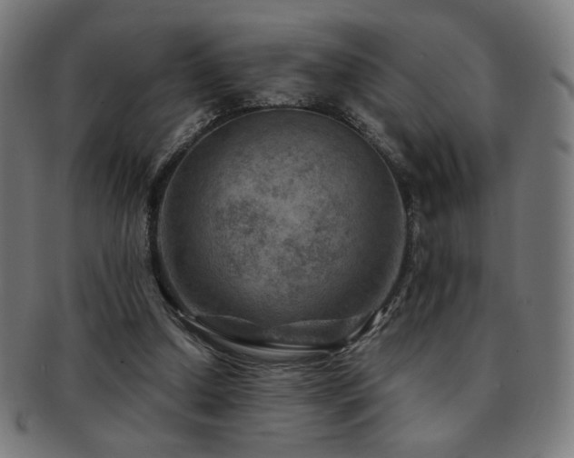 X0000091880250200709051329