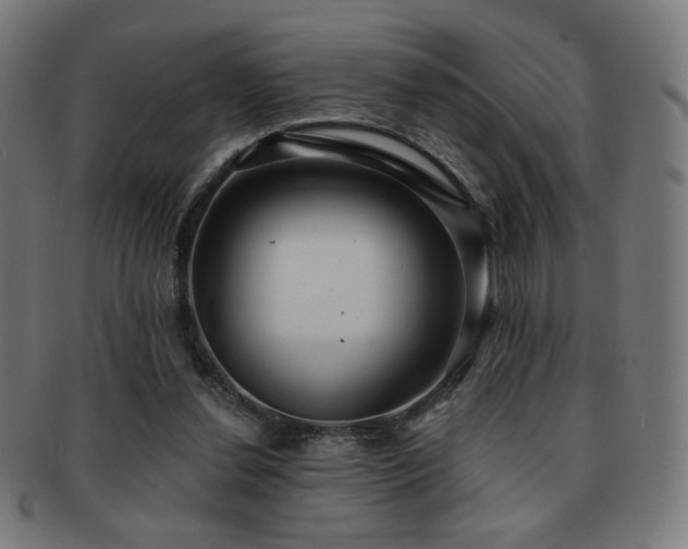 X0000091880252200709051329