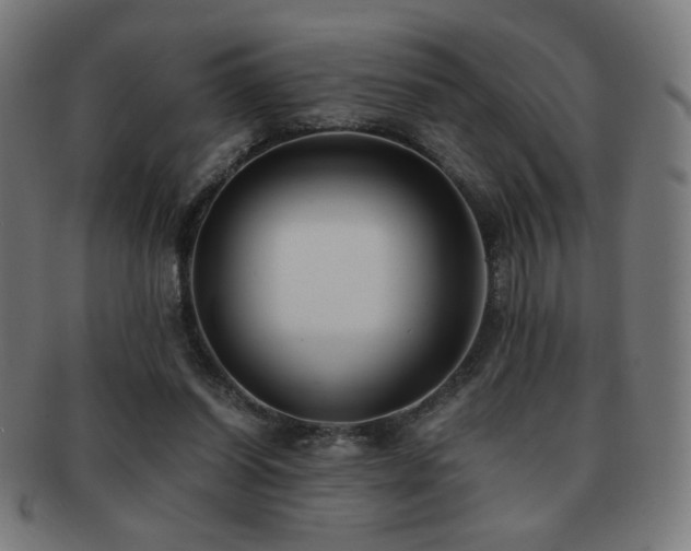 X0000091880254200709051329