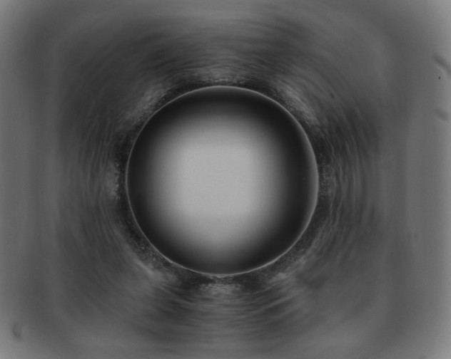 X0000091880255200709051329