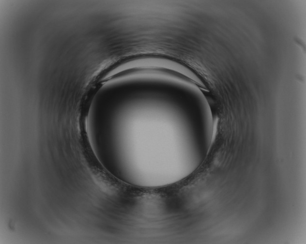 X0000091880256200709051329
