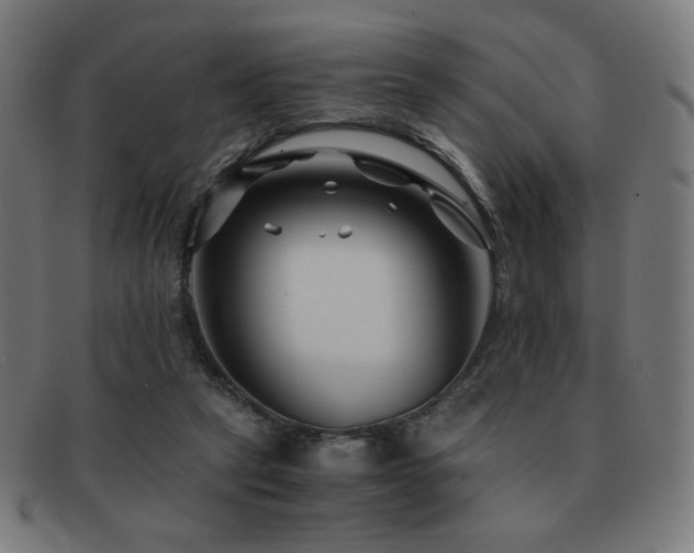 X0000091880257200709051329