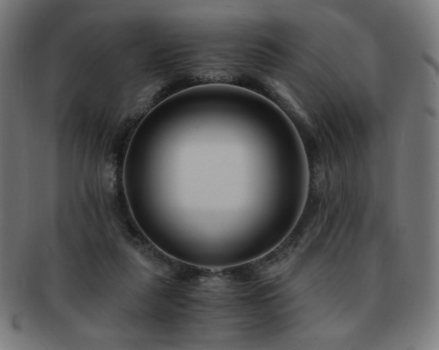 X0000091880259200709051329