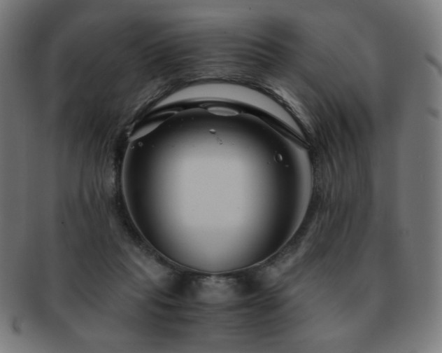 X0000091880261200709051329