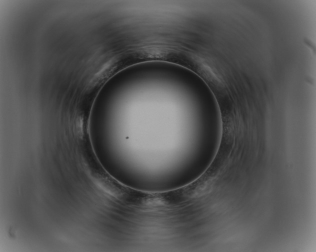 X0000091880262200709051329
