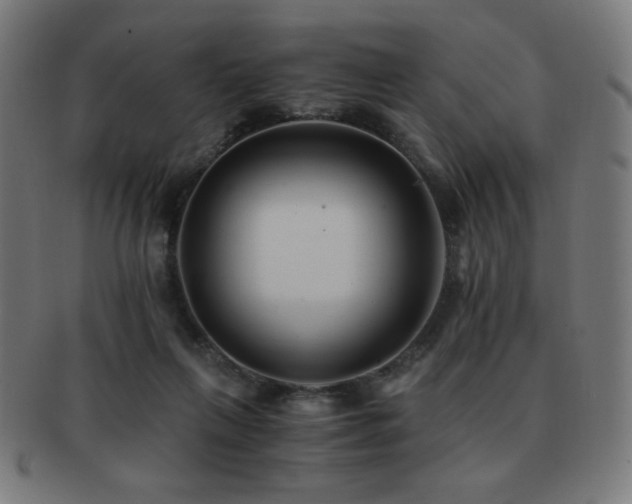 X0000091880263200709051329