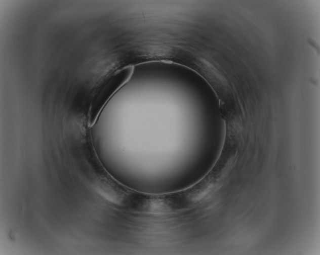 X0000091880264200709051329