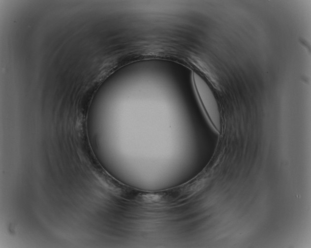 X0000091880265200709051329