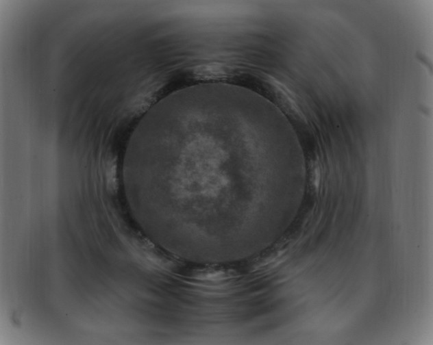 X0000091880267200709051330