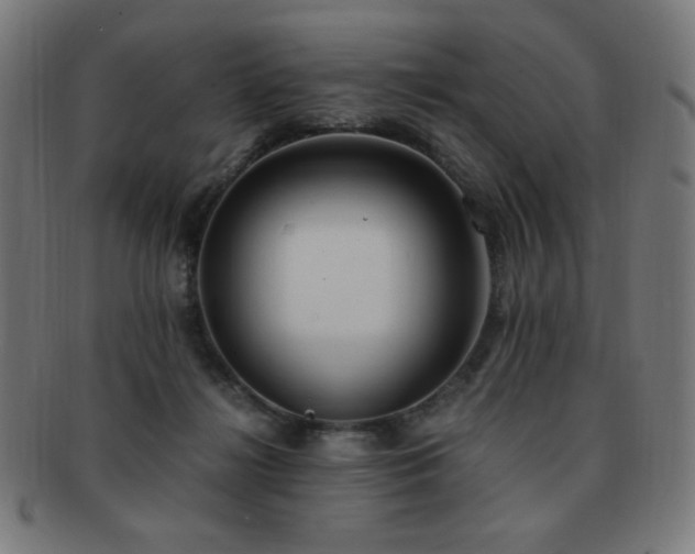X0000091880268200709051330