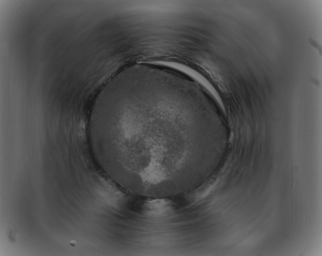 X0000091880269200709051330