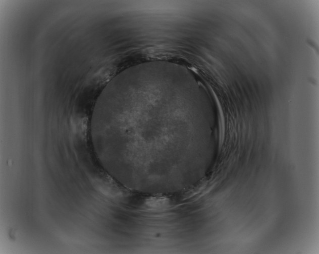 X0000091880271200709051330