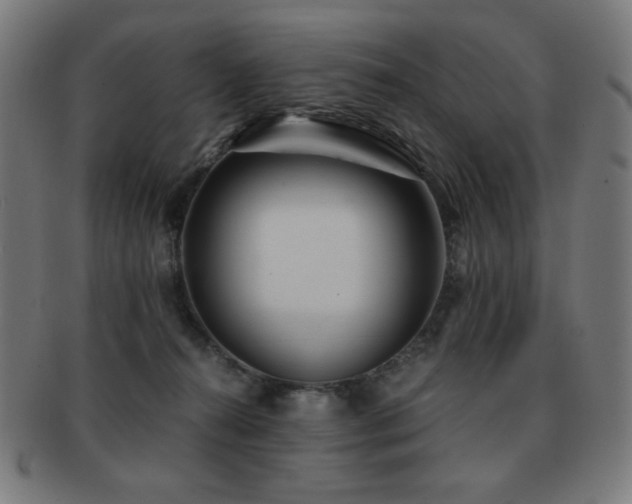 X0000091880272200709051330