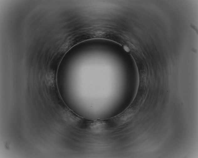 X0000091880274200709051330
