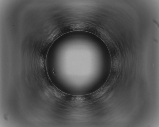 X0000091880282200709051330