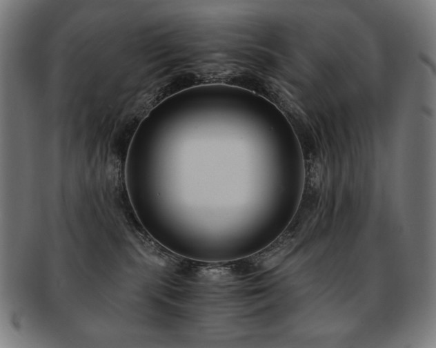 X0000091880283200709051330