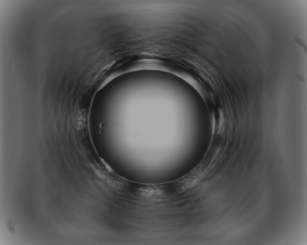 X0000091880284200709051330
