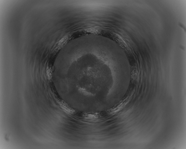 X0000091880285200709051330