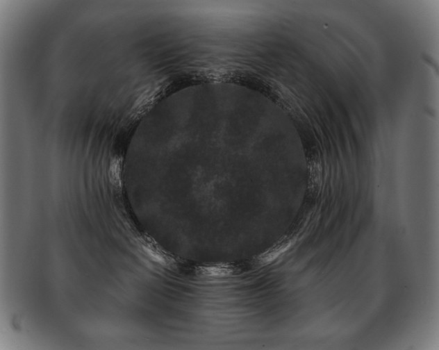 X0000091880286200709051330