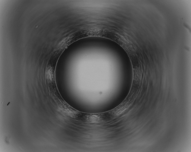 X0000091880287200709051330