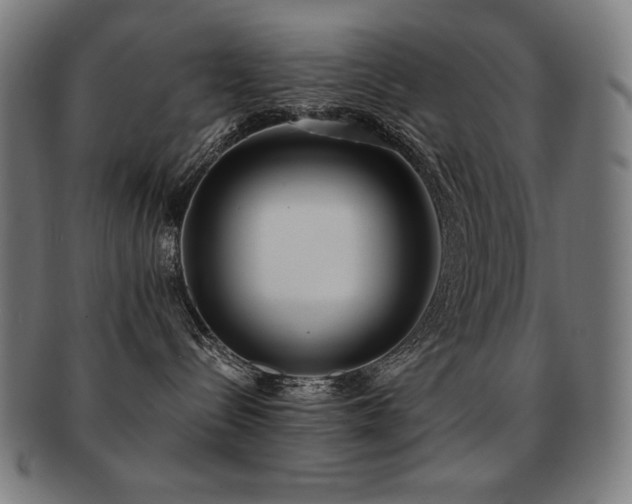 X0000091880288200709051330