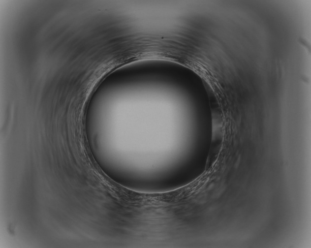 X0000091880289200709051329
