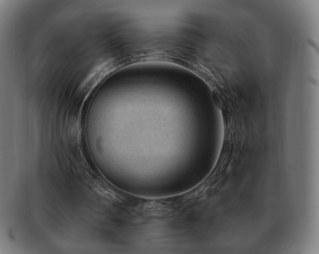 X0000091880290200709051329