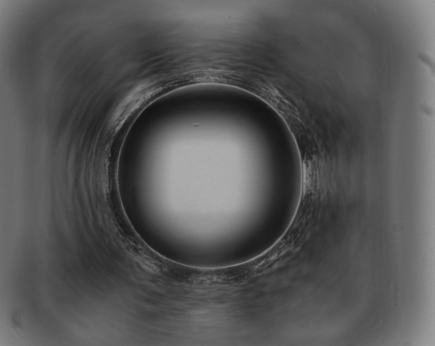X0000091880291200709051329