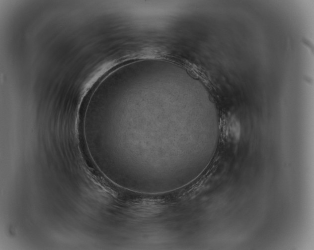 X0000091880292200709051329